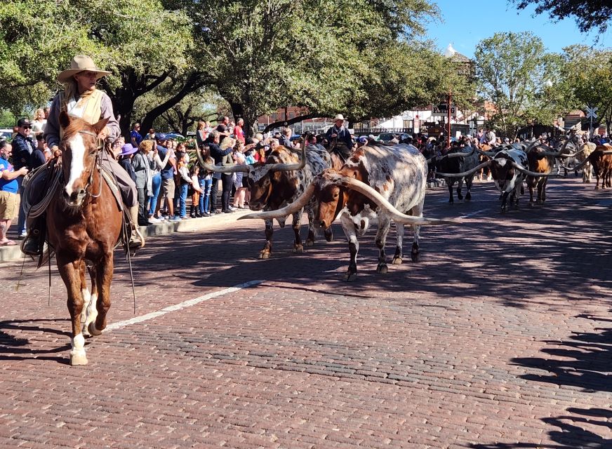 In the Dallas-Fort Worth area is the Fort Worth daily cattle drive.