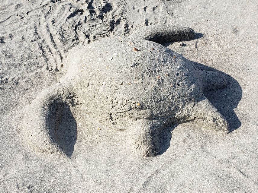 This is a sand image of a sea turtle on the beach.