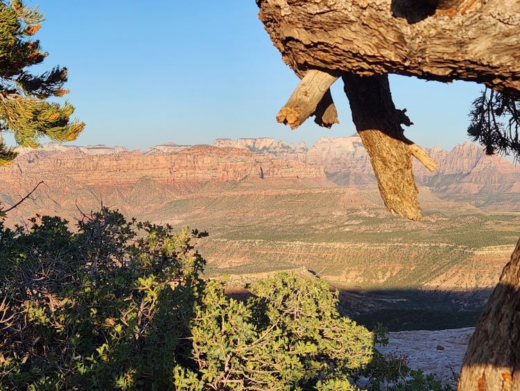 A scenic view of Zion National Park accessed through the Kolob Terrace Entrance.